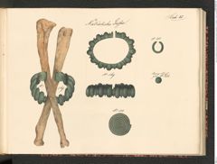 Seite 133 des Tafelbandes "Abbildungen über die aufgefundenen Altertums=Gegenstände […] zu Hallstatt […] 1846 bis einschlüßig 1849", Signatur 3.185 c